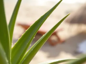 Fryzury dla okrągłej twarzy po 50 – najlepsze propozycje i porady